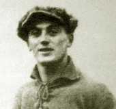 Lipizer Franco